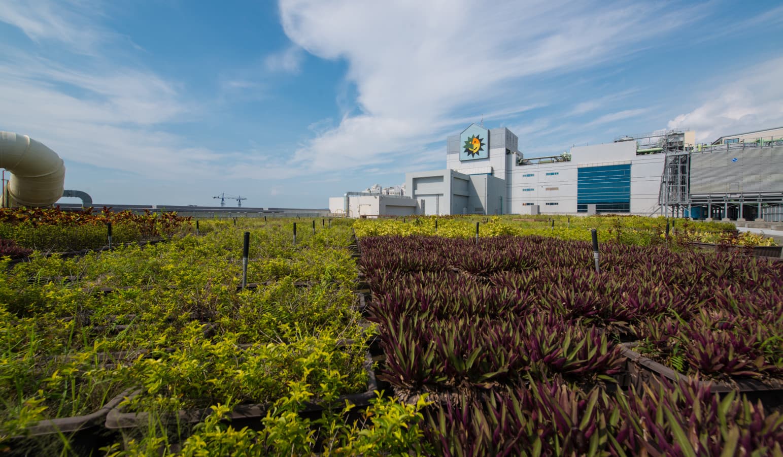 ISE Labs Investment Secures the Establishment of New Site for Semiconductor Packaging and Test in Mexico