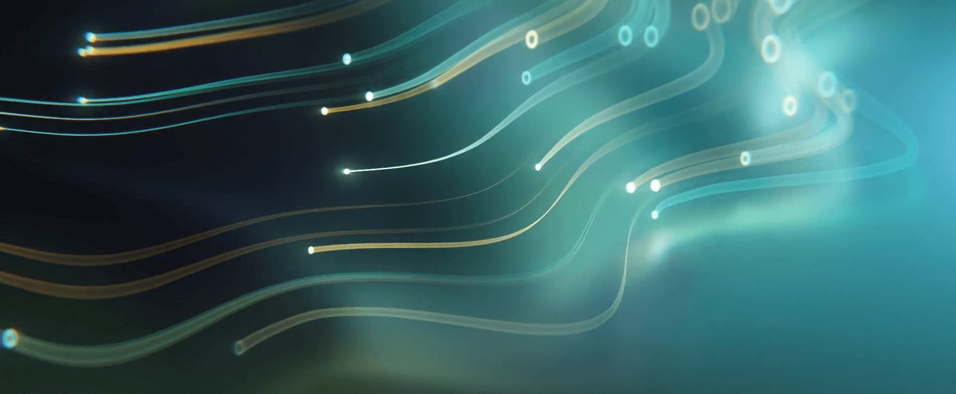 Strands of optical fiber carrying light, the interconnect medium behind co-packaged optics