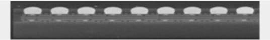 DSM BGA (Solder ball) cross-section
