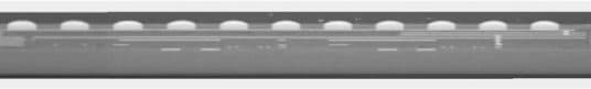 DSM LGA (Pre-solder Solution) cross-section