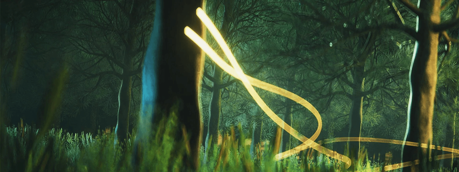 Light trails moving through a forest at night